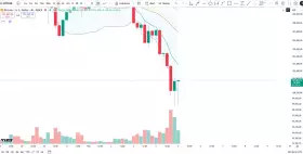 Cheds Trading