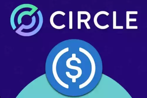 Circle、Firearms 和 USDC：數字支付的新前沿，你知道嗎？