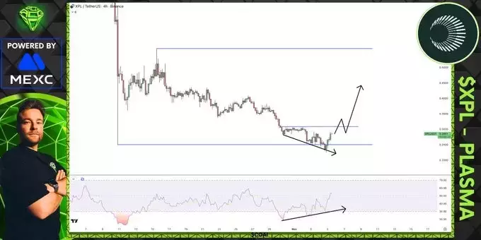 Plasma (XPL) Price: Analyst Eyes Bullish Setup Amidst Market Uncertainty