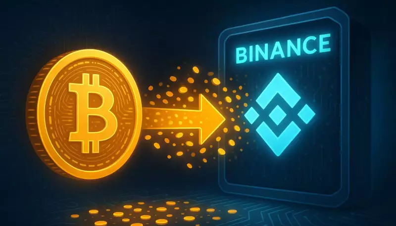 핫머니, 바이낸스, 비트코인 유입: 동향 분석 핫머니, 바이낸스, 비트코인 유입: 동향 분석