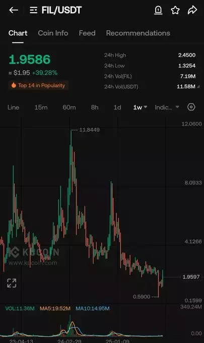 WIZZ🥷( beware scammers )