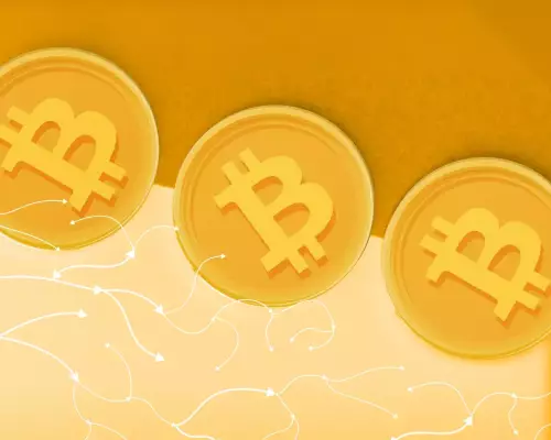 Bitcoin-Überweisungsgebühren: 105.000 $ Hoppla und die Zukunft des Zahlungsverkehrs Bitcoin-Überweisungsgebühren: 105.000 $ Hoppla und die Zukunft des Zahlungsverkehrs