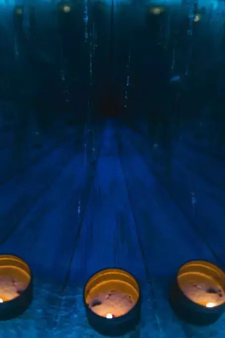 _growth revolution |