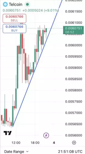 supreme penny (Grylle)🐸