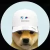 metaversexen