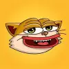 CATY🐱