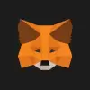 MetaMask Developer