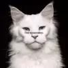 $SYMMETRY