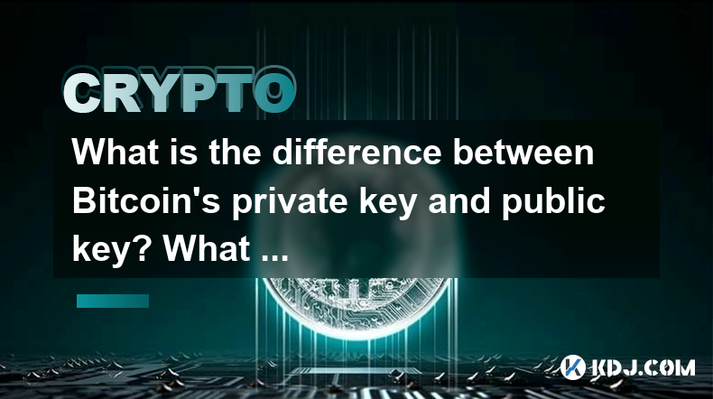 What is the difference between Bitcoin's private key and public key? What are their respective functions? What is the difference between Bitcoin's private key and public key? What are their respective functions?