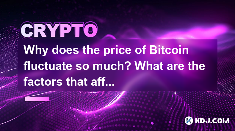 為什麼Bitcoin的價格波動如此之大?影響其價格的因素是什麼? 為什麼Bitcoin的價格波動如此之大?影響其價格的因素是什麼?