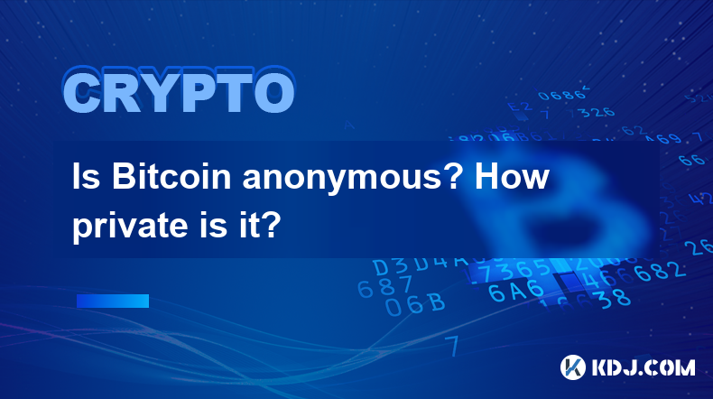 Bitcoin匿名吗?它有多私人? Bitcoin匿名吗?它有多私人?