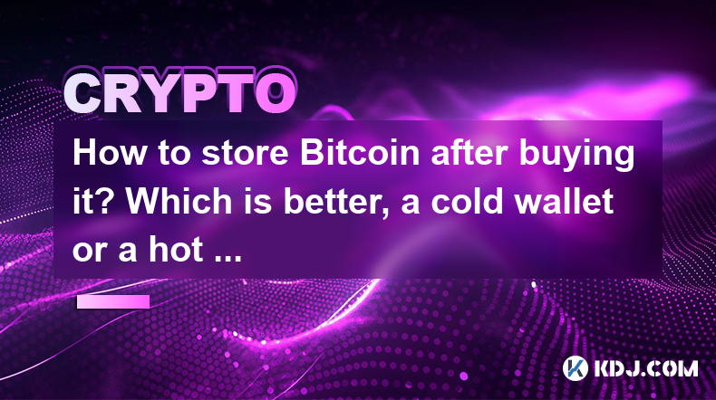 How to store Bitcoin after buying it? Which is better, a cold wallet or a hot wallet? How to store Bitcoin after buying it? Which is better, a cold wallet or a hot wallet?