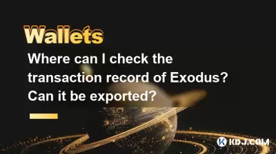 Where can I check the transaction record of Exodus? Can it be exported?