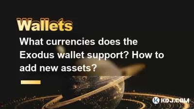What currencies does the Exodus wallet support? How to add new assets?