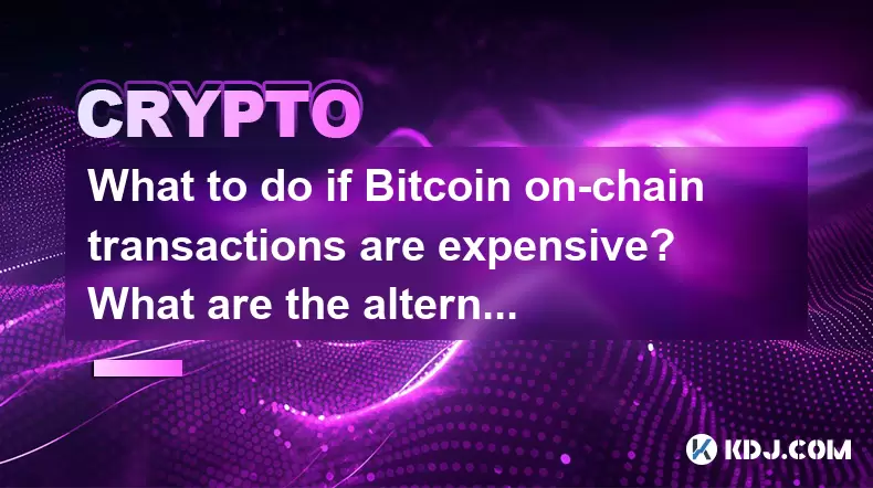 如果Bitcoin链交易价格昂贵,该怎么办?有什么选择? 如果Bitcoin链交易价格昂贵,该怎么办?有什么选择?