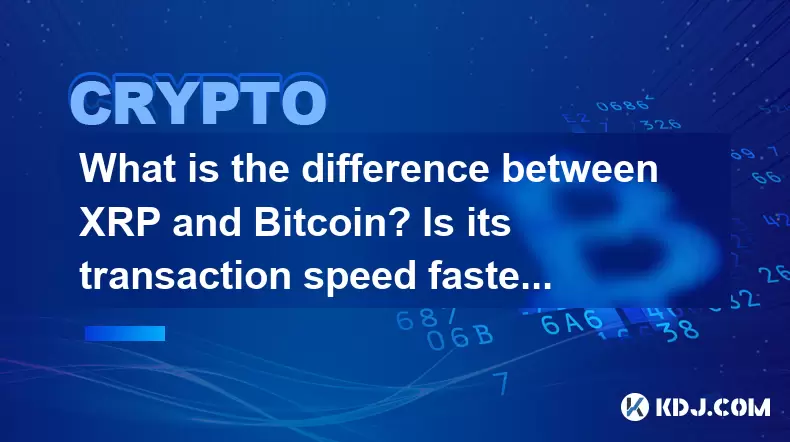 Quelle est la différence entre XRP et Bitcoin? Sa vitesse de transaction est-elle plus rapide? Quelle est la différence entre XRP et Bitcoin? Sa vitesse de transaction est-elle plus rapide?