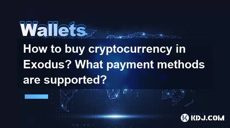 출애굽기에서 cryptocurrency를 구매하는 방법? 어떤 지불 방법이 지원됩니까? 출애굽기에서 cryptocurrency를 구매하는 방법? 어떤 지불 방법이 지원됩니까?