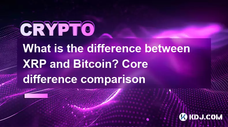 XRP와 Bitcoin의 차이점은 무엇입니까? 핵심 차이 비교 XRP와 Bitcoin의 차이점은 무엇입니까? 핵심 차이 비교