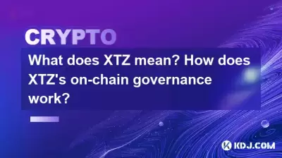 What does XTZ mean? How does XTZ's on-chain governance work?