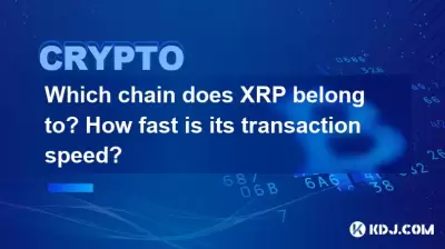 Which chain does XRP belong to? How fast is its transaction speed?