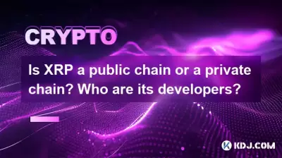 Is XRP a public chain or a private chain? Who are its developers?