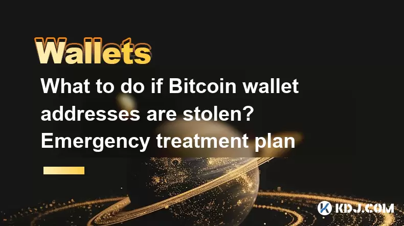 如果Bitcoin钱包地址被盗该怎么办?紧急治疗计划 如果Bitcoin钱包地址被盗该怎么办?紧急治疗计划