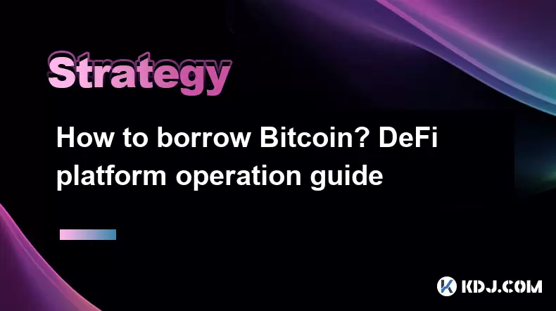 빌리는 방법 Bitcoin? Defi 플랫폼 운영 안내서 빌리는 방법 Bitcoin? Defi 플랫폼 운영 안내서