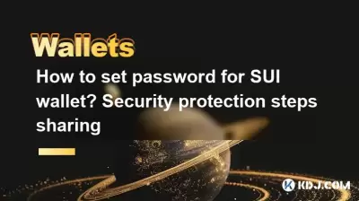 How to set password for SUI wallet? Security protection steps sharing