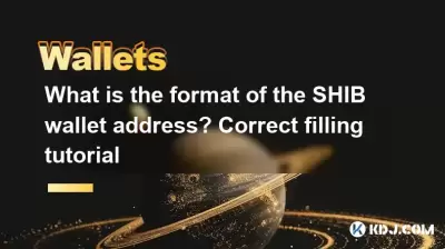 What is the format of the SHIB wallet address? Correct filling tutorial