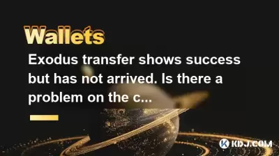 Exodus transfer shows success but has not arrived. Is there a problem on the chain?