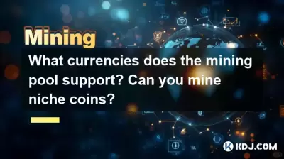What currencies does the mining pool support? Can you mine niche coins? What currencies does the mining pool support? Can you mine niche coins?