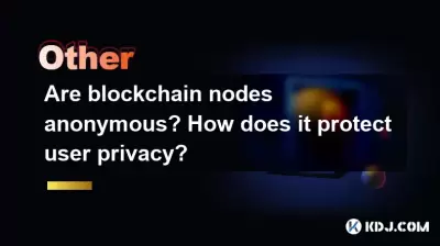 Are blockchain nodes anonymous? How does it protect user privacy?
