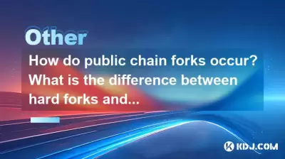 パブリックチェーンフォークはどのように発生しますか？ハードフォークとソフトフォークの違いは何ですか