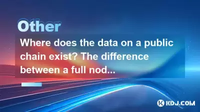 Where does the data on a public chain exist? The difference between a full node and a light node