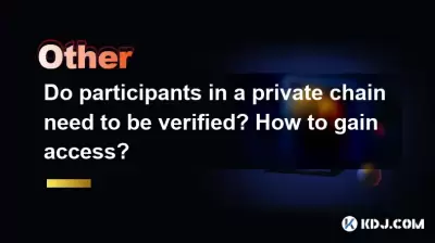 Do participants in a private chain need to be verified? How to gain access?