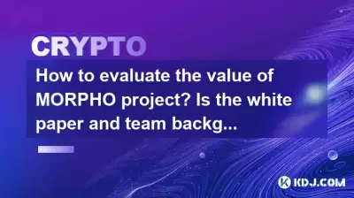 How to evaluate the value of MORPHO project? Is the white paper and team background important?