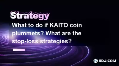 如果Kaito硬币下降该怎么办?什么是停止策略? 如果Kaito硬币下降该怎么办?什么是停止策略?