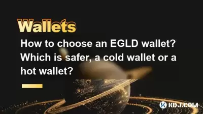 How to choose an EGLD wallet? Which is safer, a cold wallet or a hot wallet?