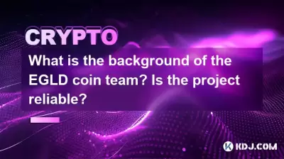 What is the background of the EGLD coin team? Is the project reliable?