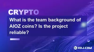 What is the team background of AIOZ coins? Is the project reliable?