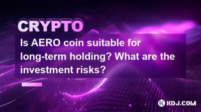 Is AERO coin suitable for long-term holding? What are the investment risks?
