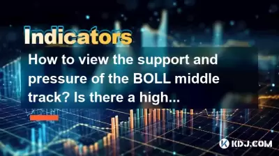 Wie kann man die Unterstützung und den Druck der Boll -Mittelstrecke betrachten? Gibt es eine hohe Wahrscheinlichkeit, dass sich der Preis nach dem Zurücktreten auf die Mittelstrecke erholen wird?