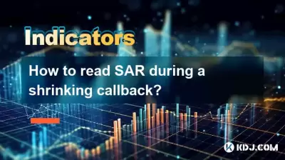 縮小コールバック中にSARを読む方法は? 縮小コールバック中にSARを読む方法は?