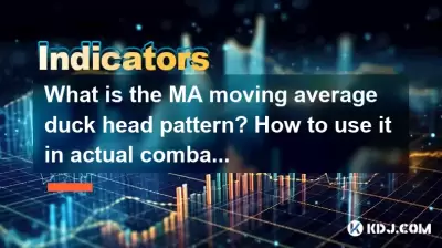 Was ist das MA MA MAD AVIGE Entenkopfmuster? Wie benutze ich es im tatsächlichen Kampf? Was ist das MA MA MAD AVIGE Entenkopfmuster? Wie benutze ich es im tatsächlichen Kampf?