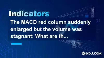 Die macd rote Säule vergrößerte sich plötzlich, aber das Volumen stagnierte: Was sind die gemeinsamen Formen, wenn die Hauptkraft die Versand ist? Die macd rote Säule vergrößerte sich plötzlich, aber das Volumen stagnierte: Was sind die gemeinsamen Formen, wenn die Hauptkraft die Versand ist?