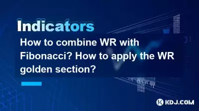 如何将WR与斐波那契相结合？如何应用WR金段？