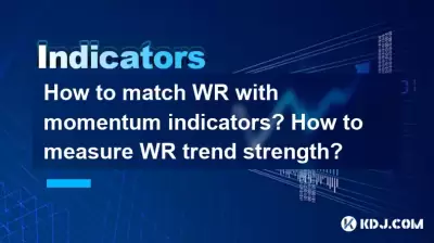 如何与动量指标匹配WR？如何衡量WR趋势强度？