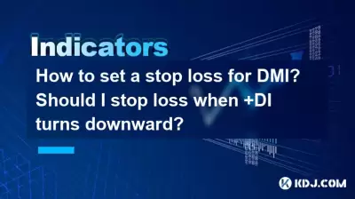 如何为DMI设定停止损失？当 +di下降时，我应该停止损失吗？