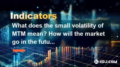 MTM的小波動率是什麼意思？市場將來會如何？