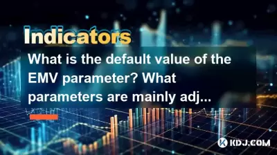 EMV参数的默认值是多少？在优化期间，主要调整了哪些参数？